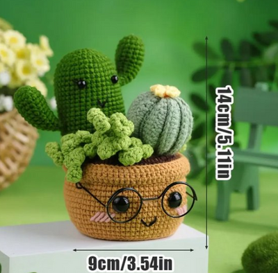 Ensemble de crochet Cactus pot avec verres