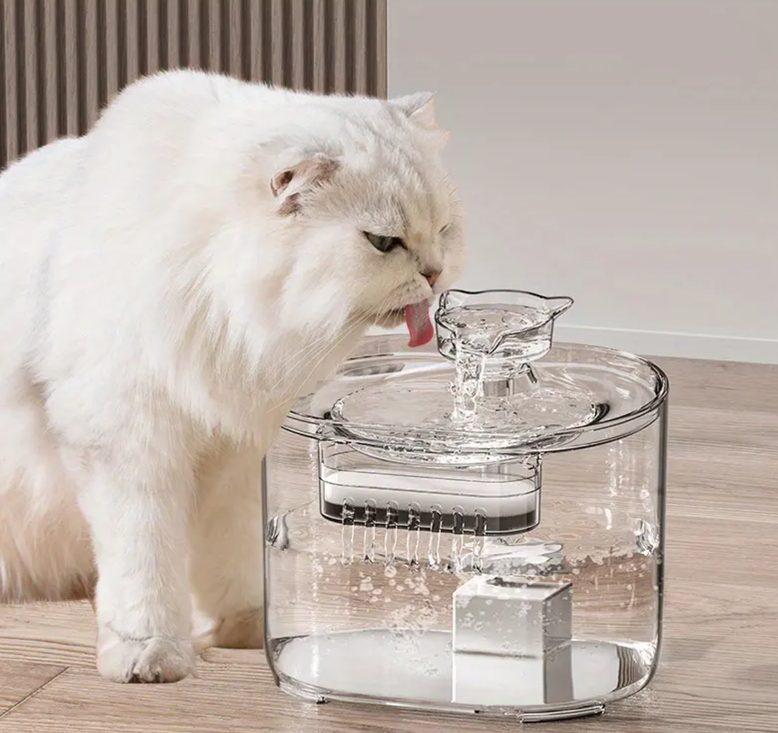 Transparante Kattenwaterfontein – 2,2L