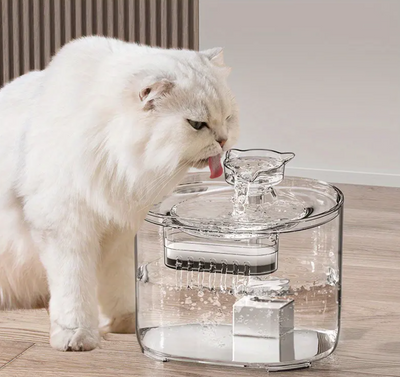 Transparante Kattenwaterfontein – 2,2L