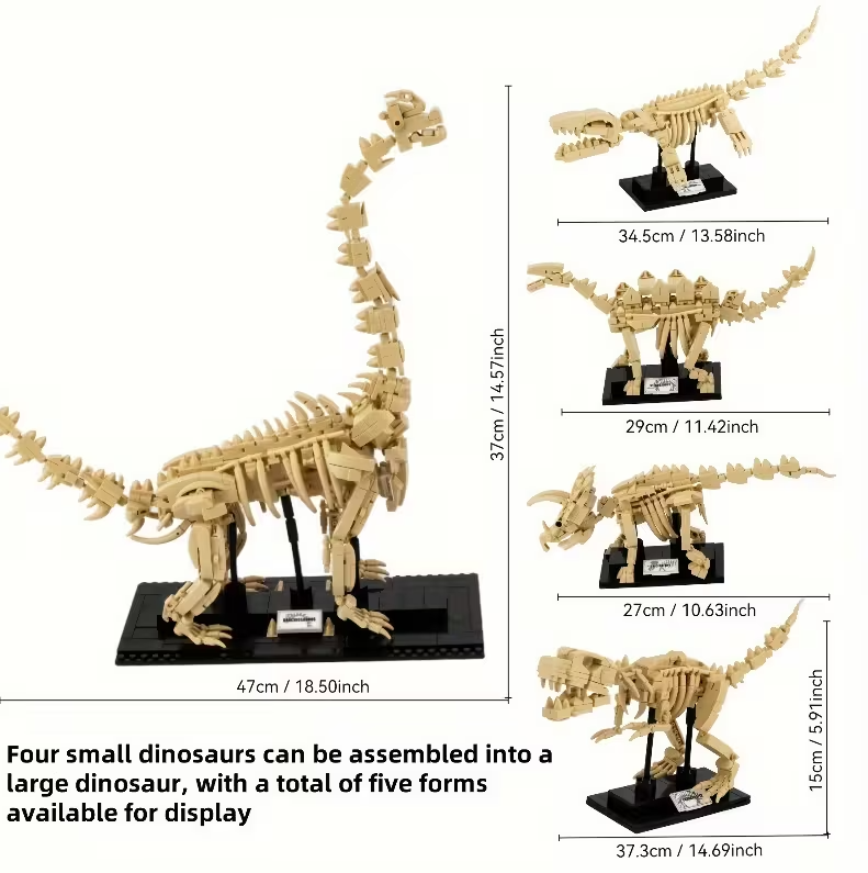 Dino Bouwset – 4 Skeletmodellen op Display (1207 Stuks)