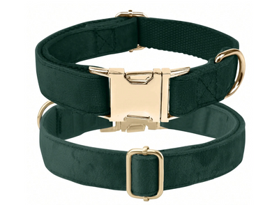 Groene Fluwelen hondenhalsband