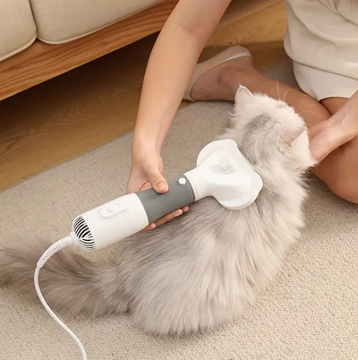 Sèche-cheveux pour animaux avec peigne