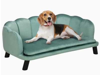 Tirelire verte de luxe pour animaux de compagnie