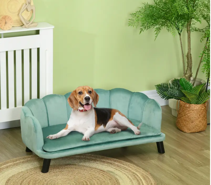 Tirelire verte de luxe pour animaux de compagnie