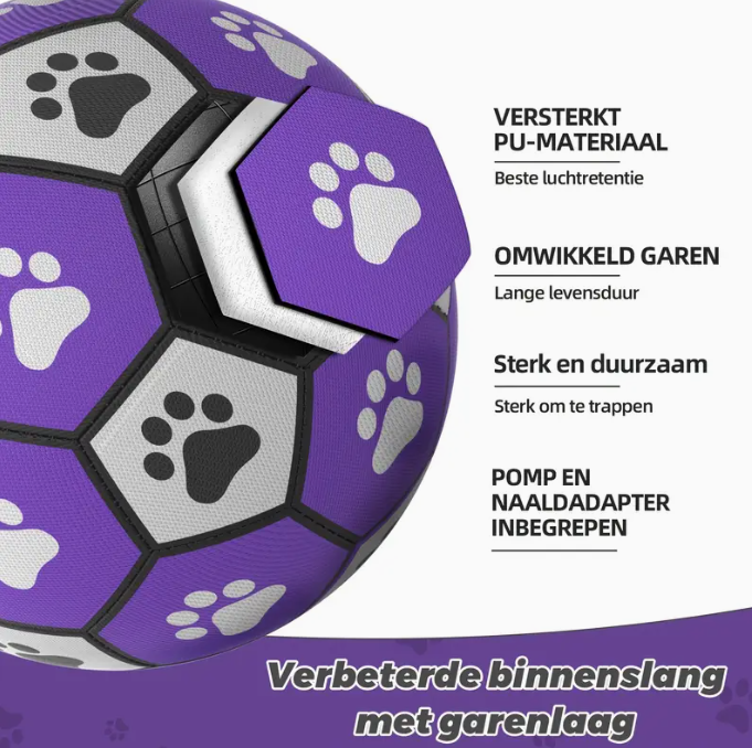 Football des Purple Dogs