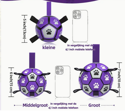 Football des Purple Dogs