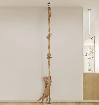 Het klimtouw is opgehangen aan het plafond, perfect voor actief klimmen en krabben.