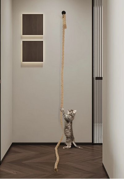 Het klimtouw is opgehangen aan een muur, perfect voor actief klimmen en krabben.