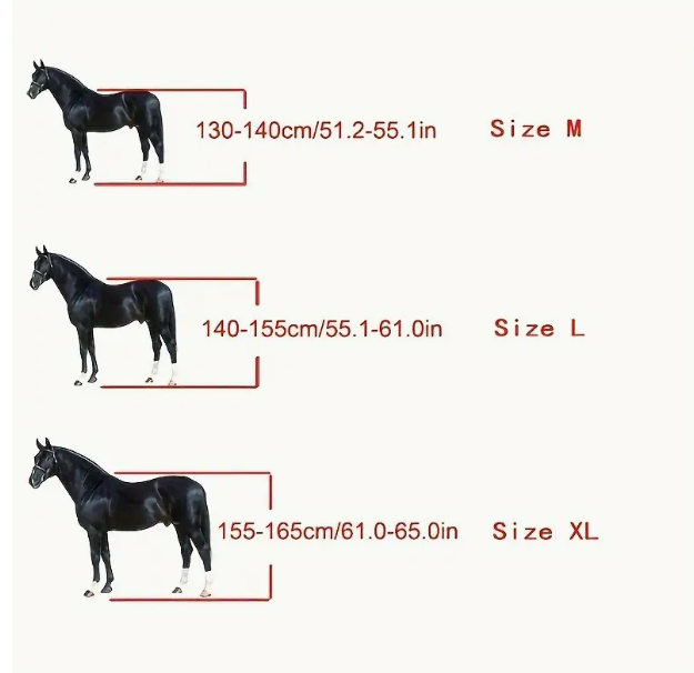 protège-jambes pour chevaux