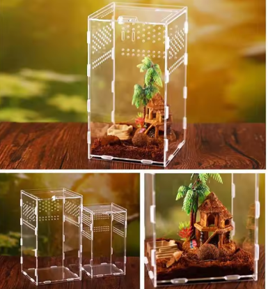 Terrarium en acrylique transparent Différentes tailles
