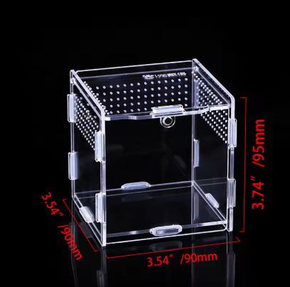 Terrarium en acrylique transparent Différentes tailles
