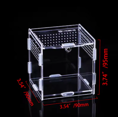Terrarium en acrylique transparent Différentes tailles