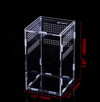Terrarium en acrylique transparent Différentes tailles