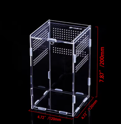 Terrarium en acrylique transparent Différentes tailles