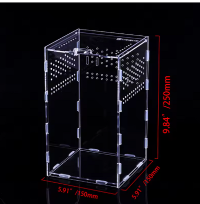 Terrarium en acrylique transparent Différentes tailles