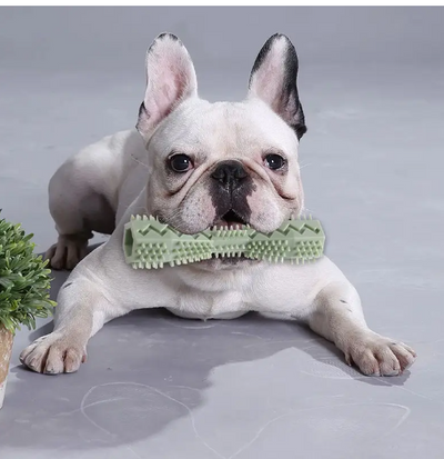 Bâtonnet à mâcher pour chien vert/rose