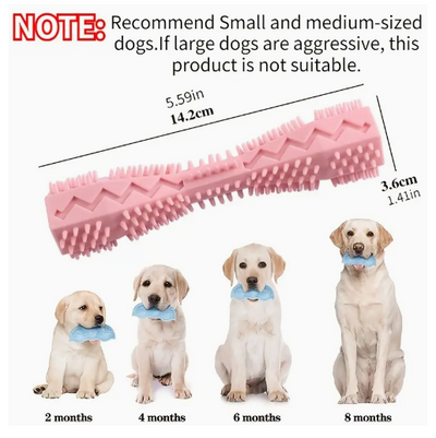 Bâtonnet à mâcher pour chien vert/rose