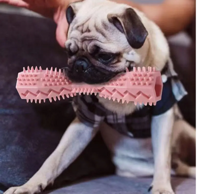 Bâtonnet à mâcher pour chien vert/rose