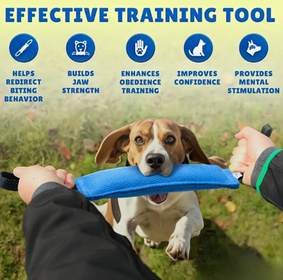 Lichtgewicht en praktisch bijtkussen, ontworpen voor gehoorzaamheidstraining en interactief spel met je hond.